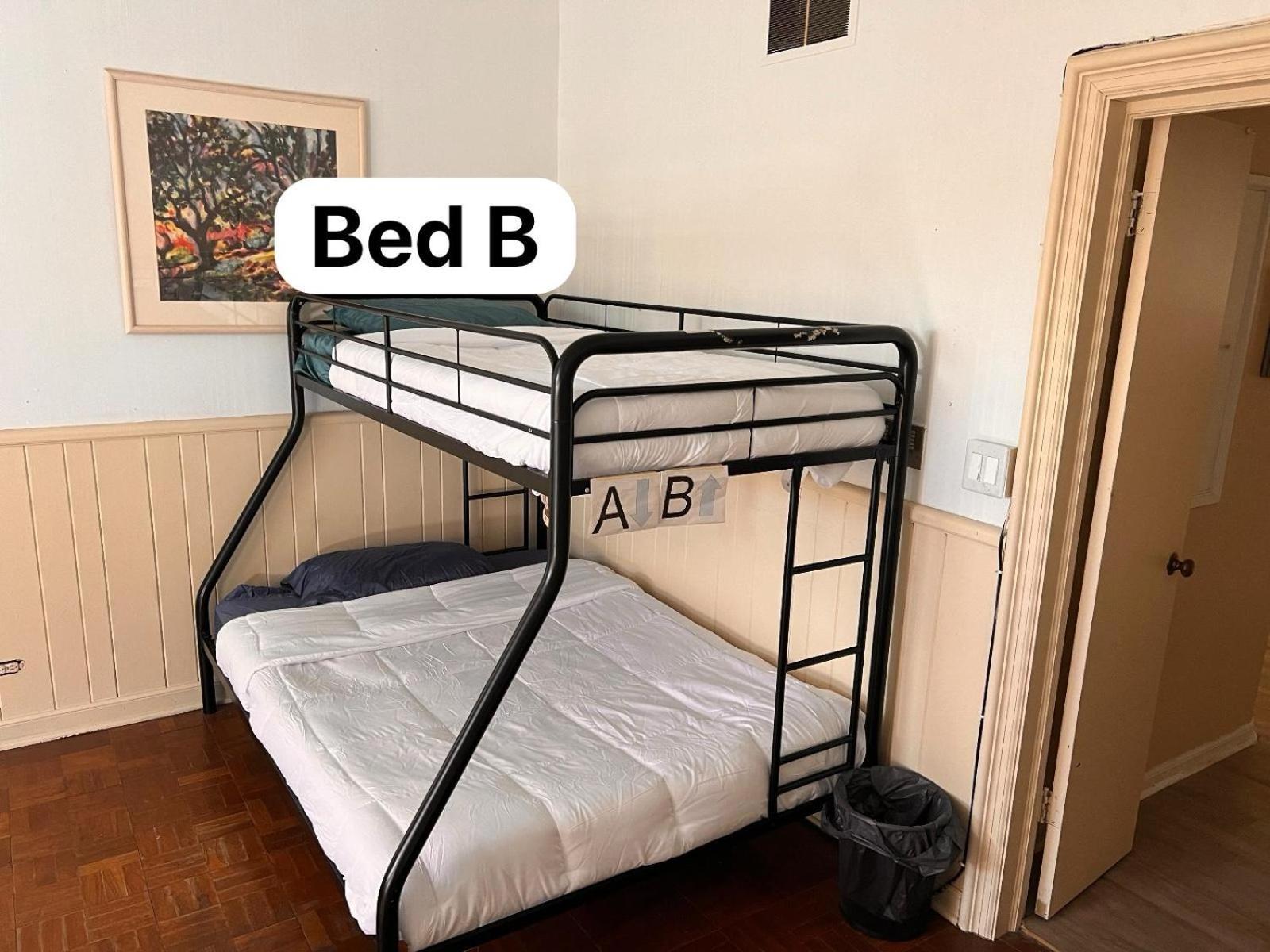 Pill Hill Mansion Hostel Chicago Buitenkant foto